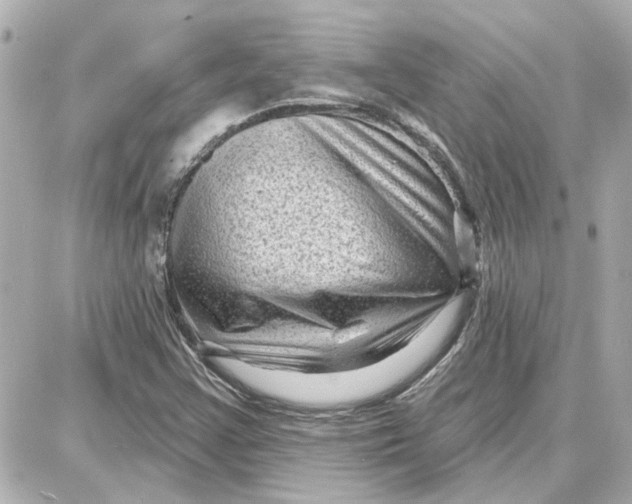 X0000087681355200705251633