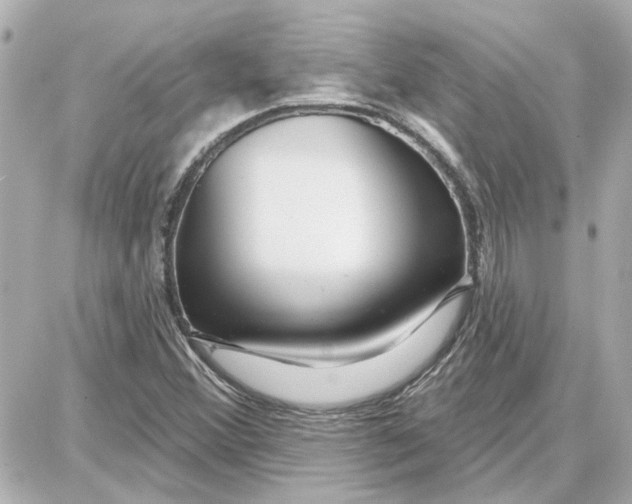 X0000087681356200705251633