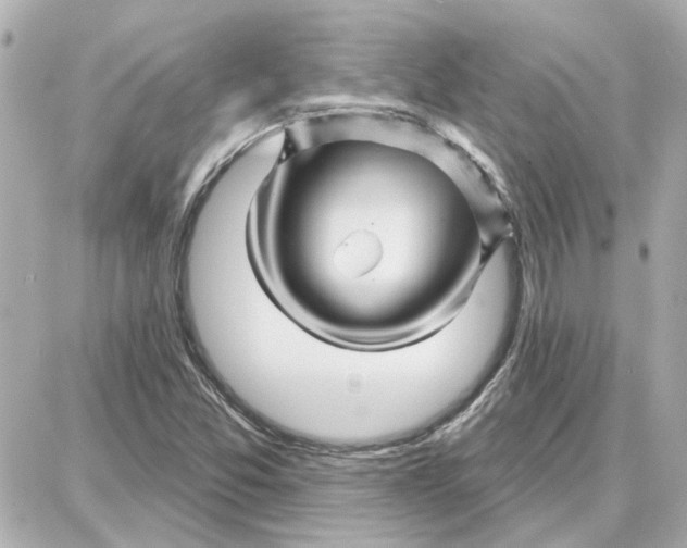 X0000087681357200705251633