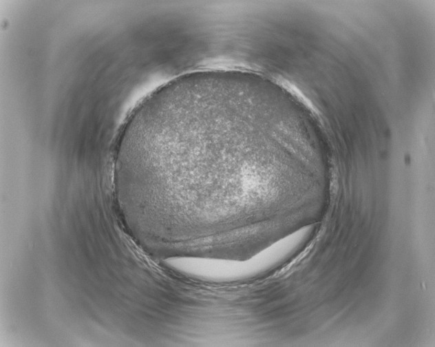 X0000087681358200705251633