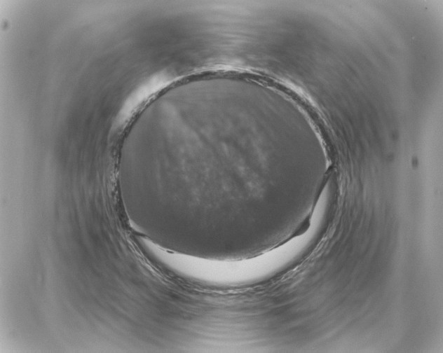 X0000087681359200705251633