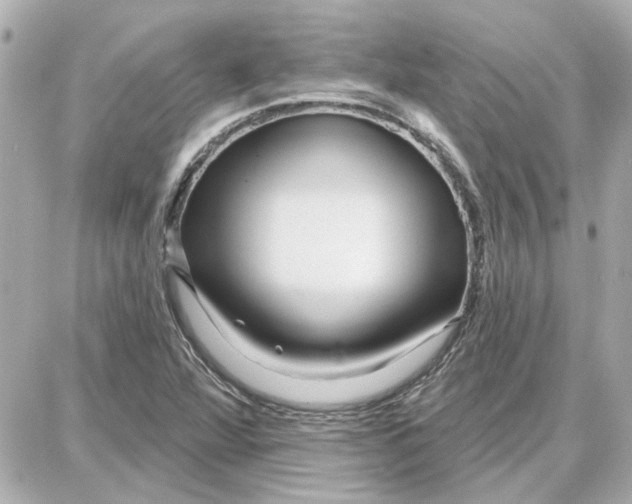 X0000087681360200705251633