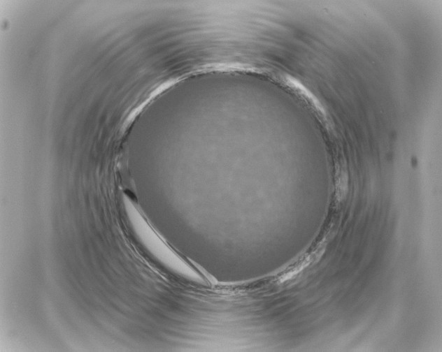 X0000087681361200705251633