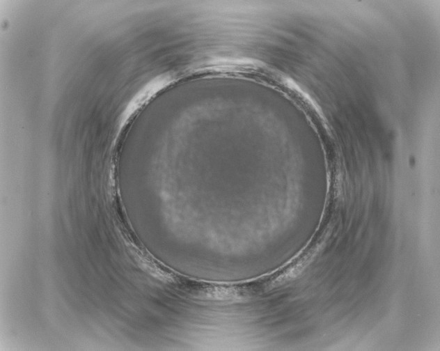 X0000087681362200705251633