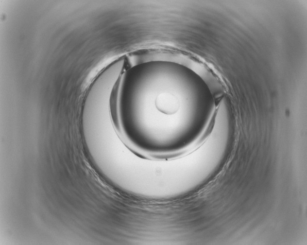 X0000087681363200705251633