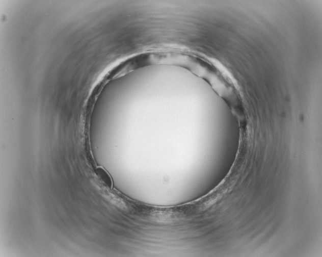 X0000087681364200705251633