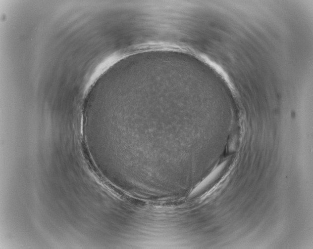 X0000087681365200705251633