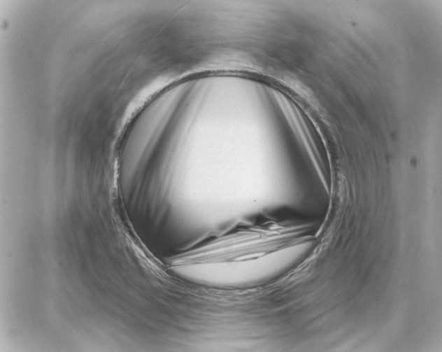 X0000087681366200705251633