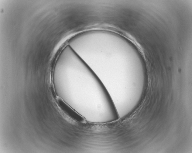 X0000087681368200705251633