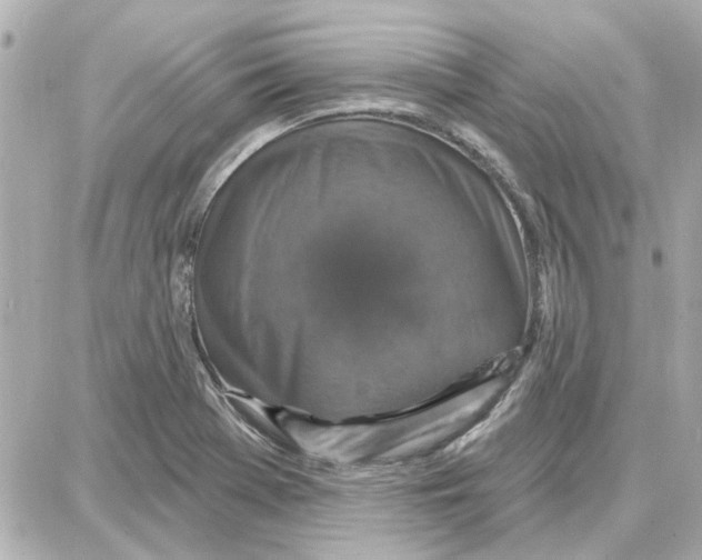 X0000087681369200705251633