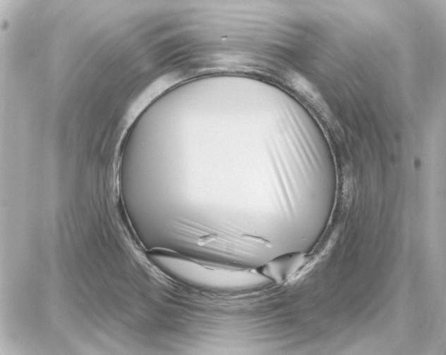 X0000087681370200705251633