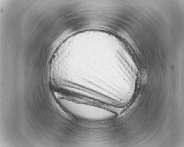 X0000087681371200705251633