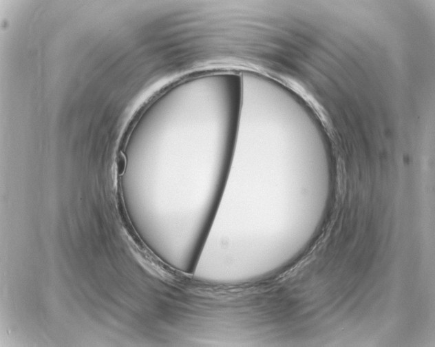 X0000087681372200705251633