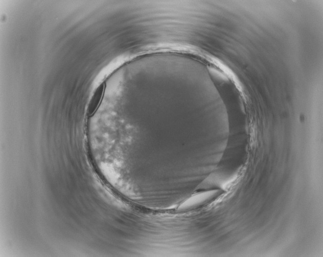 X0000087681373200705251633