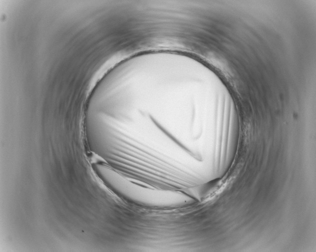 X0000087681374200705251633