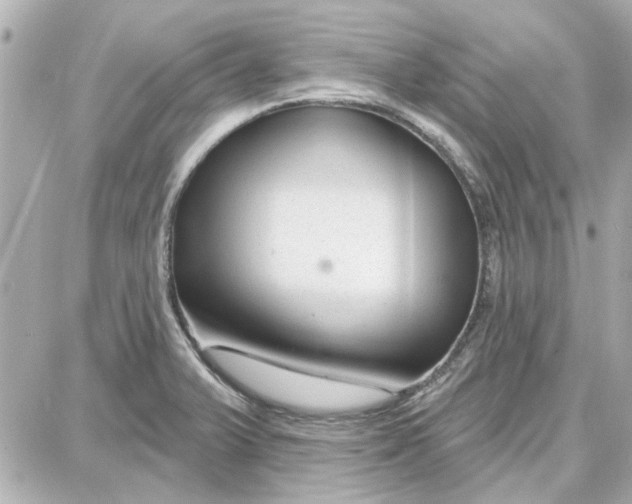 X0000087681375200705251633