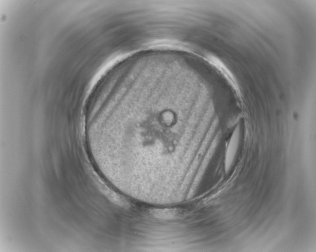 X0000087681376200705251633