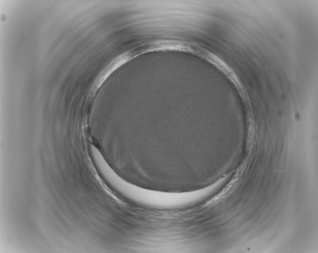 X0000087681377200705251633