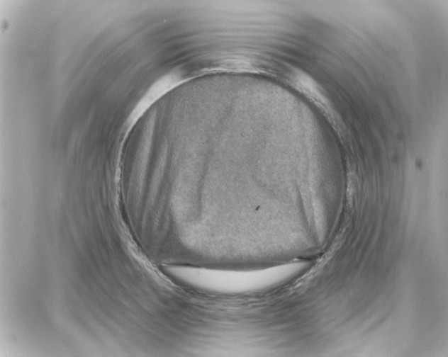 X0000087681378200705251633