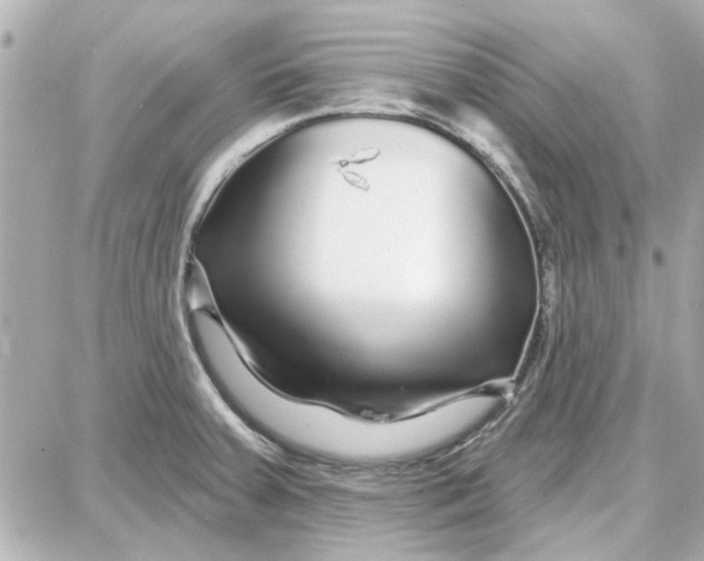 X0000087681379200705251633