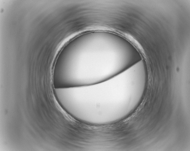 X0000087681380200705251633