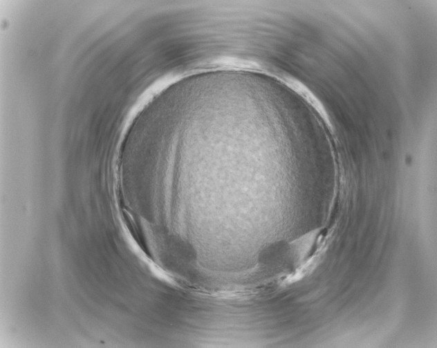 X0000087681381200705251633