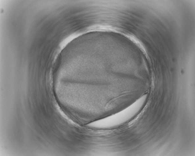 X0000087681382200705251633