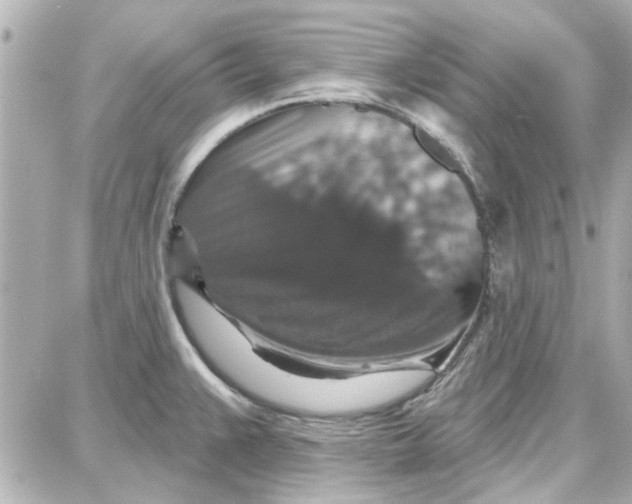 X0000087681383200705251633