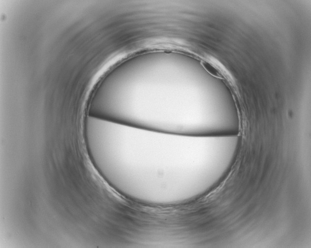 X0000087681384200705251633