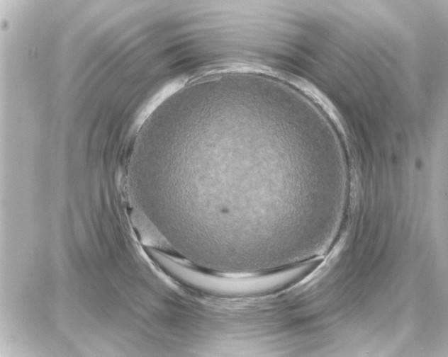 X0000087681385200705251633