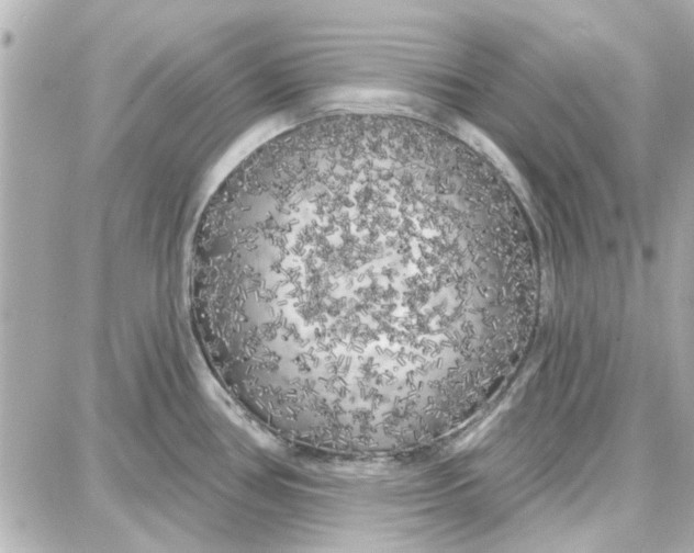 X0000087681386200705251633