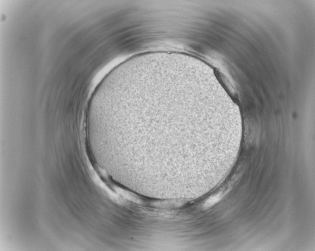 X0000087681387200705251633