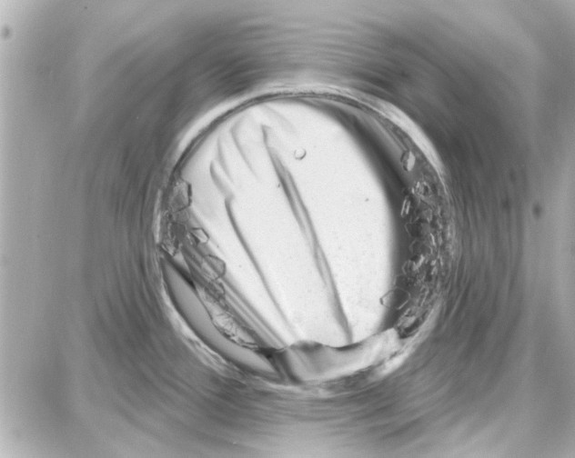 X0000087681388200705251633