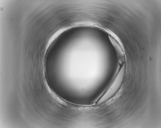 X0000087681389200705251633