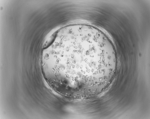 X0000087681390200705251633