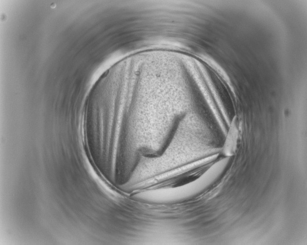 X0000087681391200705251633