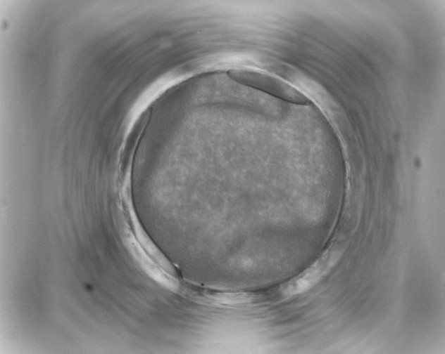 X0000087681392200705251633