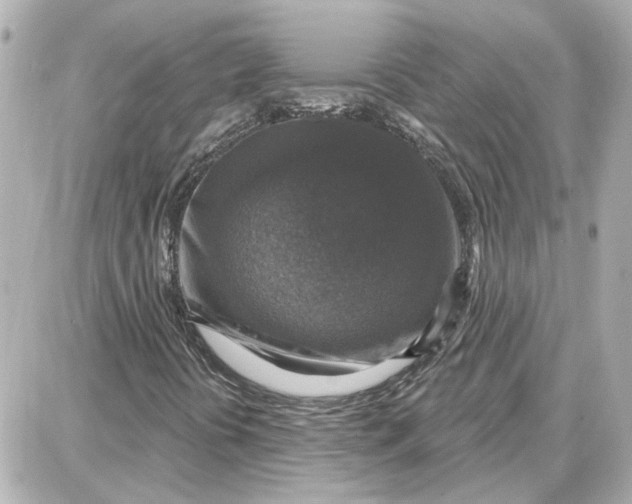 X0000087681394200705251632