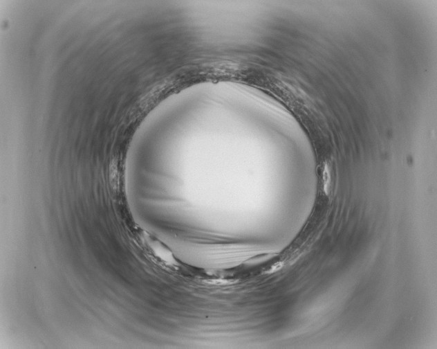 X0000087681395200705251632