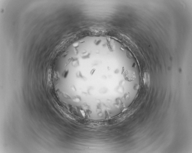 X0000087681396200705251632