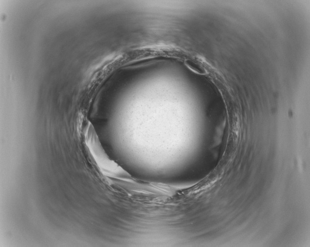 X0000087681398200705251632