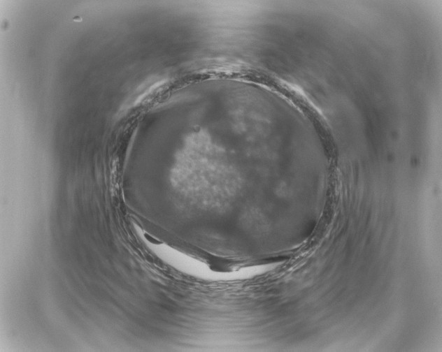 X0000087681399200705251632