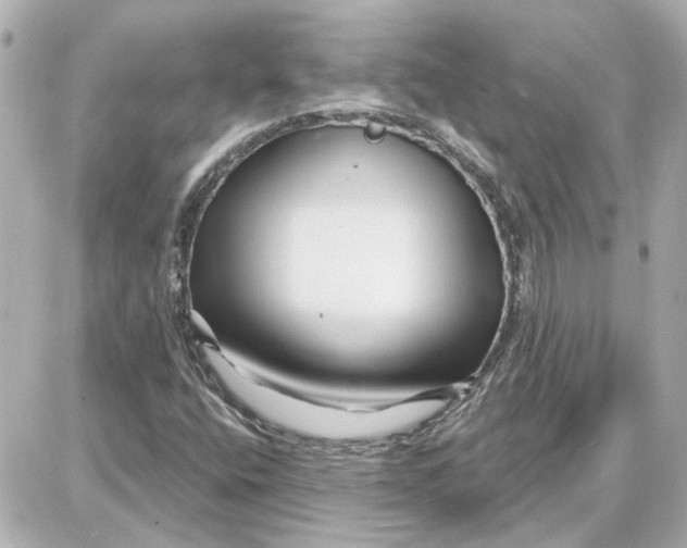 X0000087681400200705251632