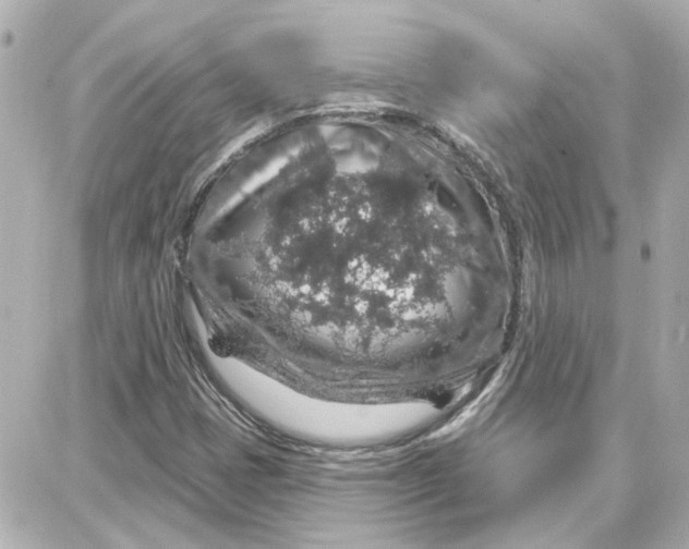 X0000087681401200705251632