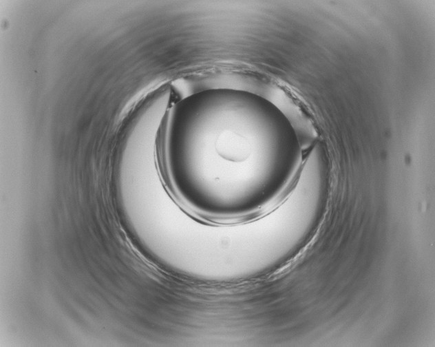 X0000087681402200705251632