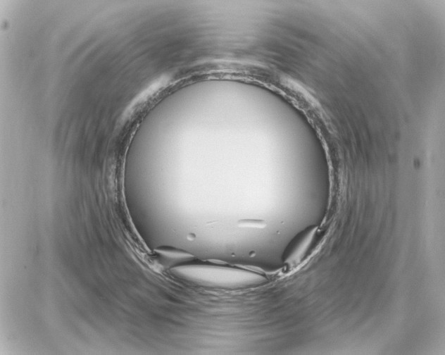 X0000087681403200705251632