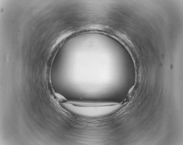 X0000087681404200705251632