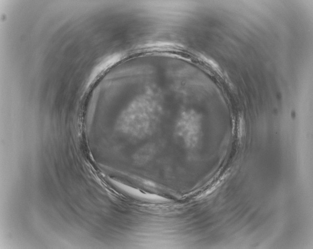 X0000087681405200705251632