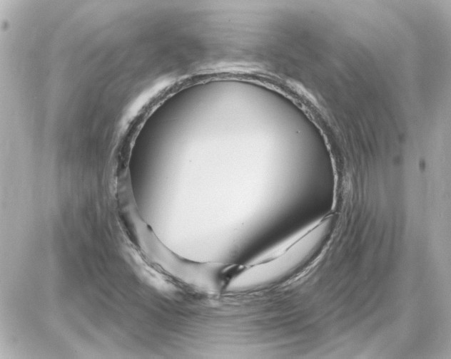 X0000087681406200705251632