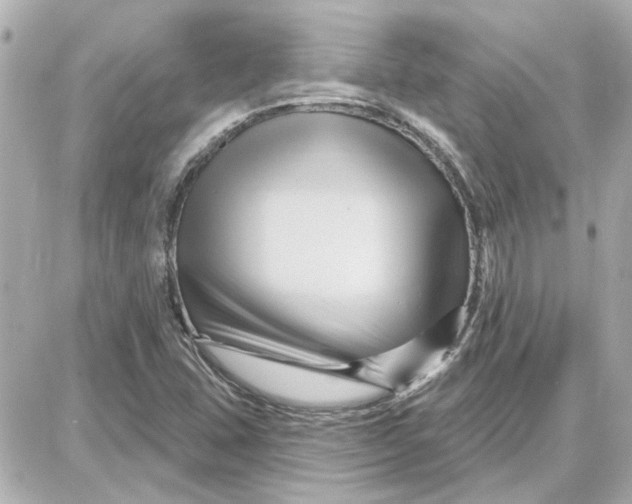 X0000087681407200705251632